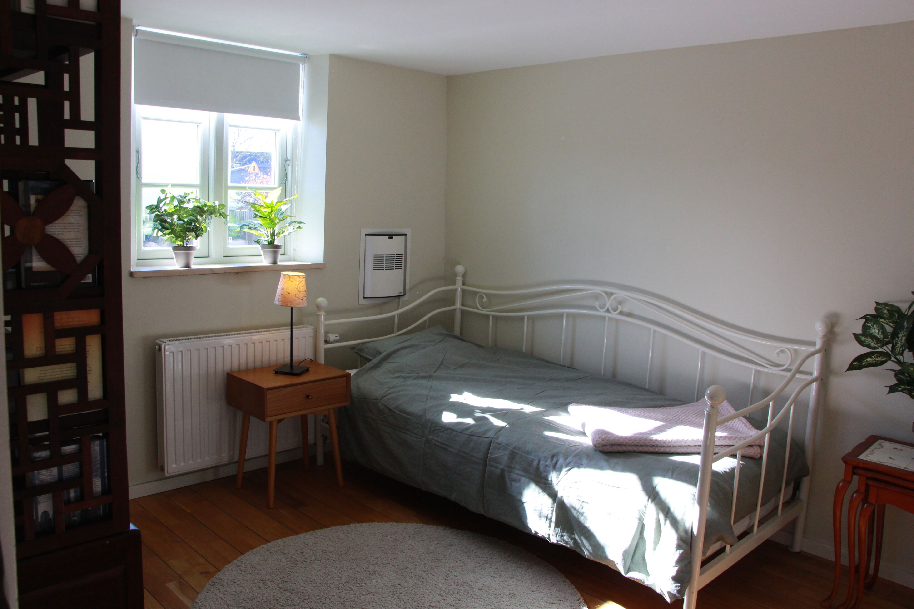 A bedroom with a single bed, a bedside table with a lamp, a radiator, and a window with plants.