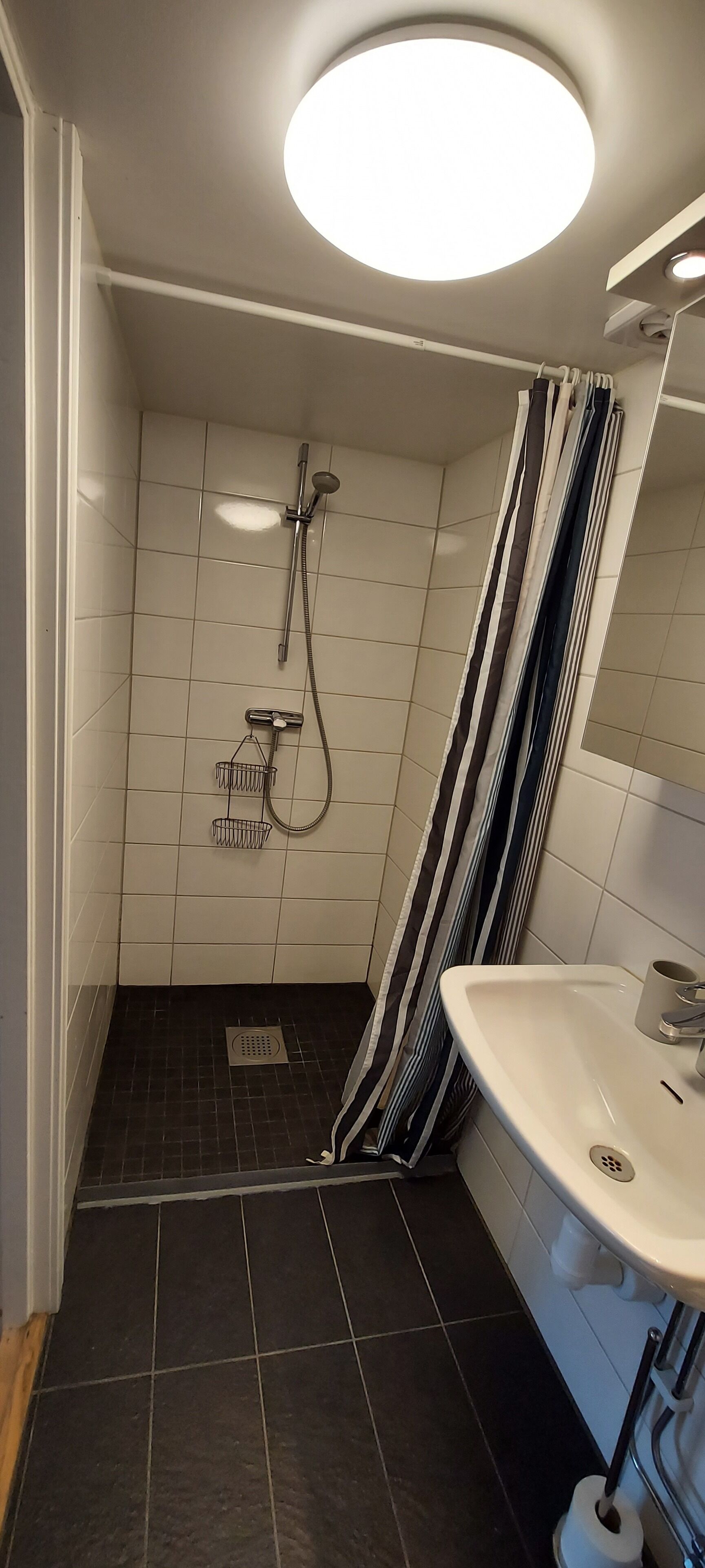 Une salle de bain avec une douche, un lavabo et des toilettes.