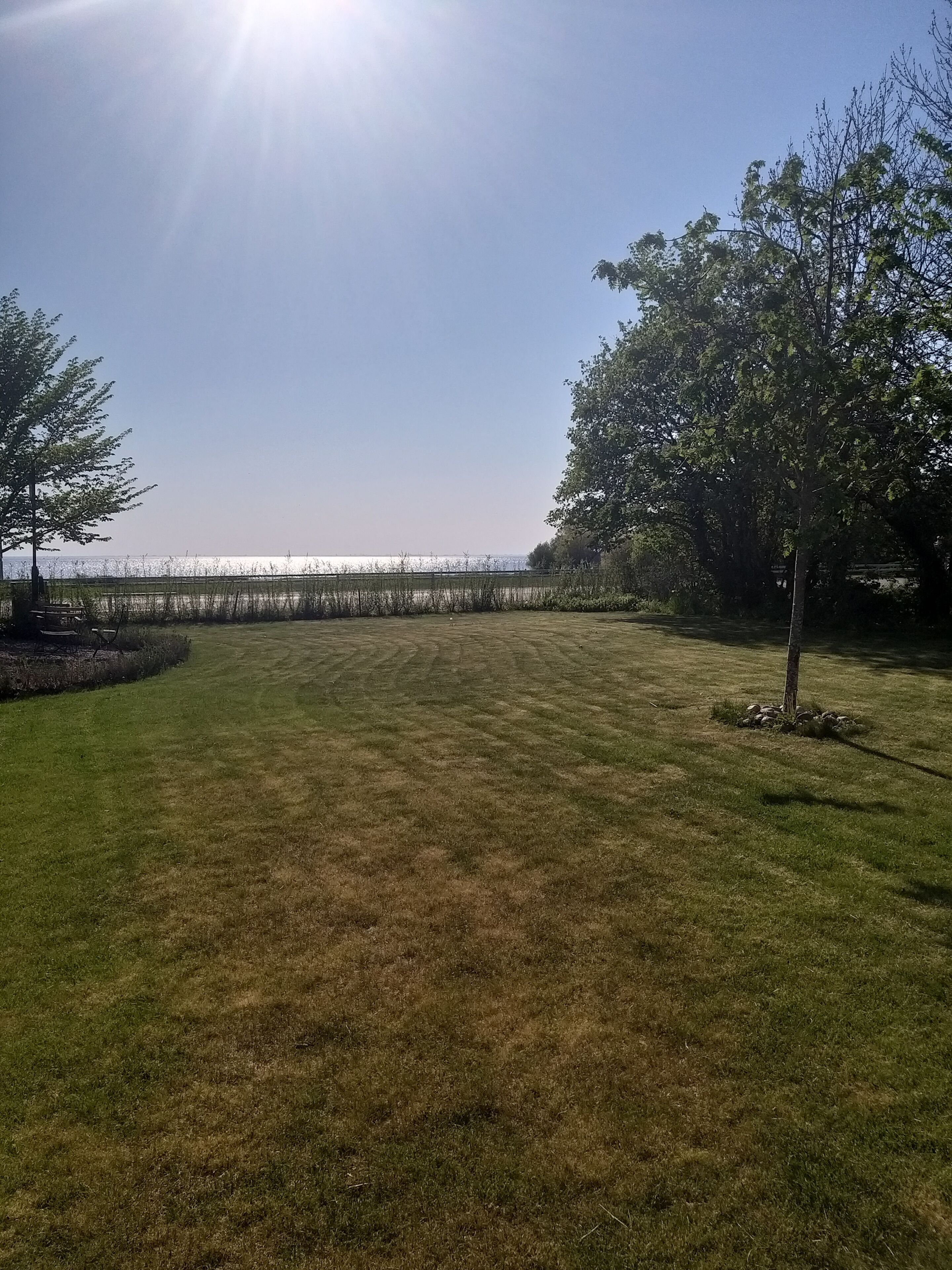 A grassy outdoor area with a bench and trees, a fence, and a clear sky.