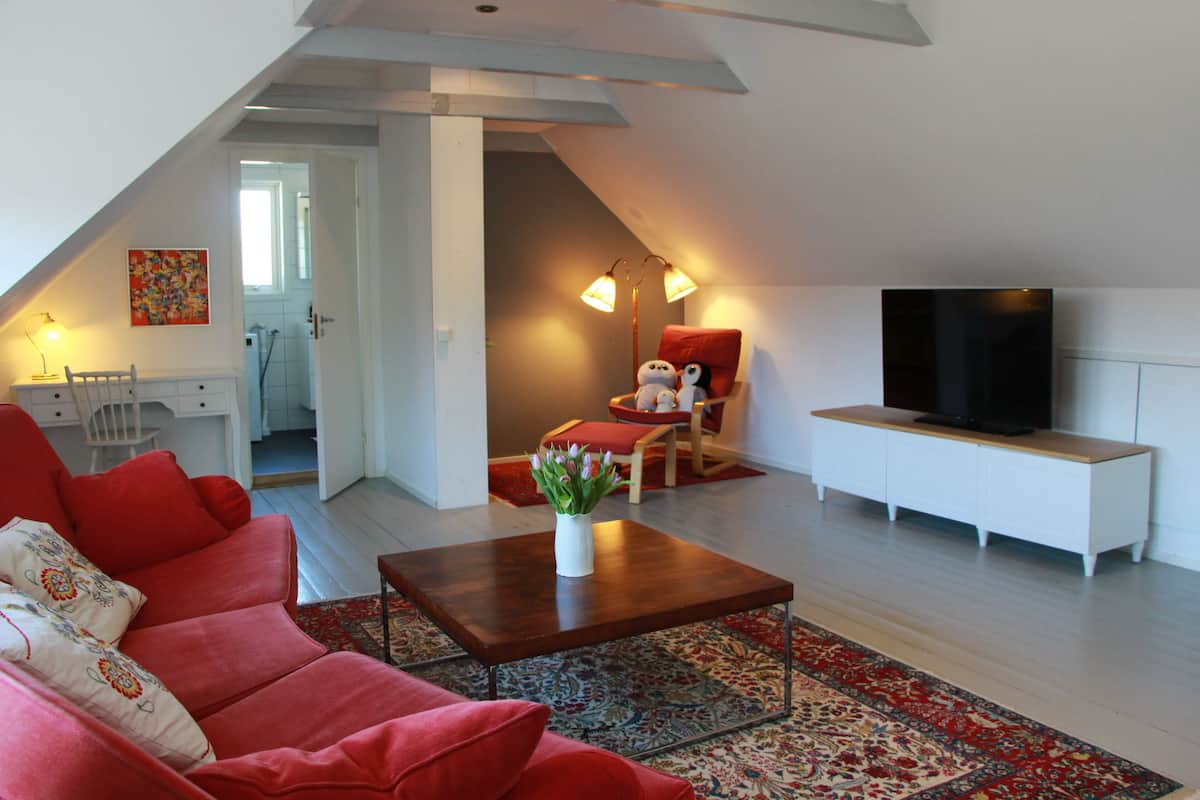 A modern living room with a red sofa, a wooden coffee table, a television on a white cabinet, and a red armchair.