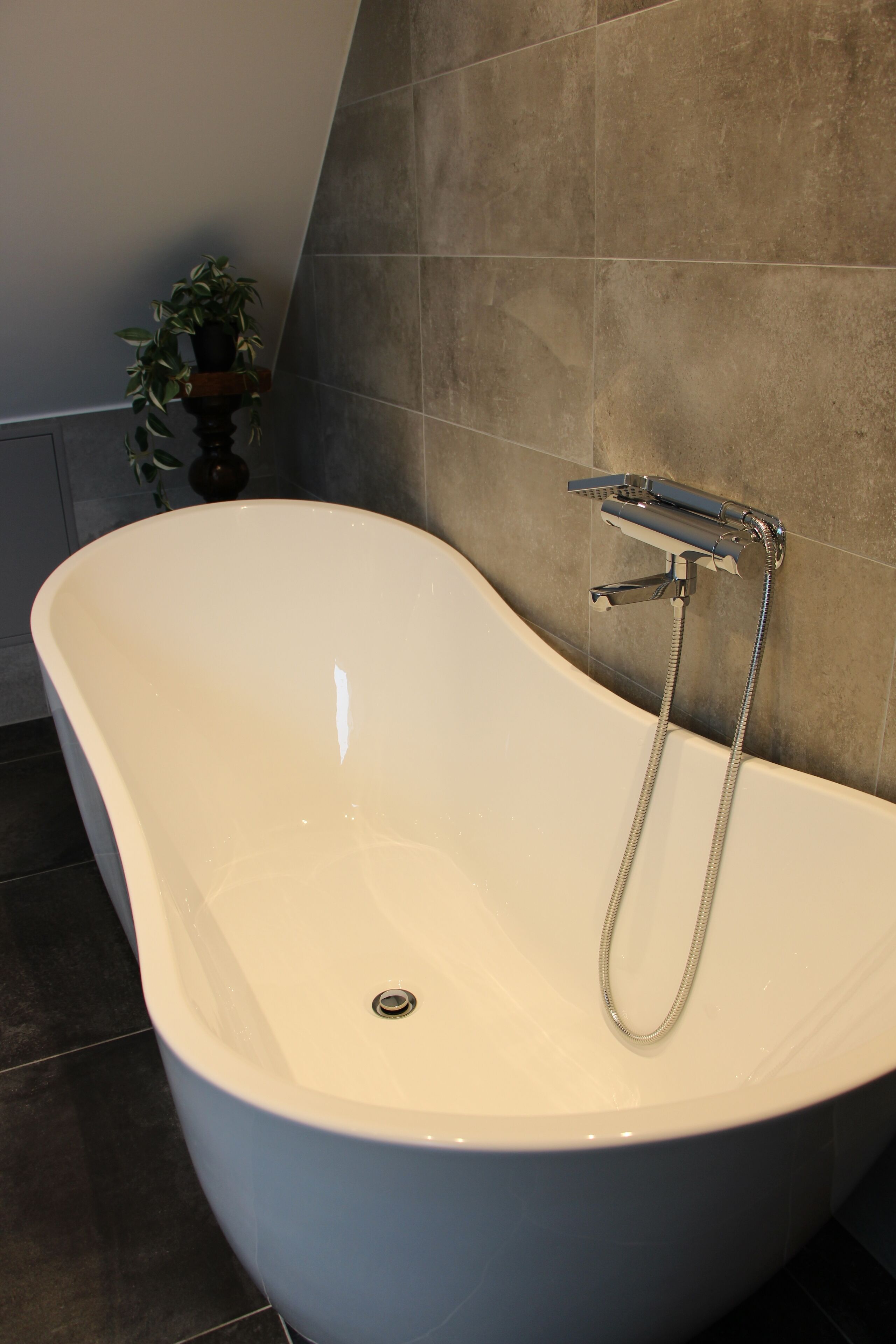 Un baño moderno con una bañera independiente, una ducha y una planta en maceta.