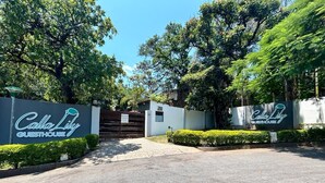 Een poort leidt naar een pand genaamd Calla Lily Guesthouse, omringd door weelderige begroeiing en een heldere lucht.