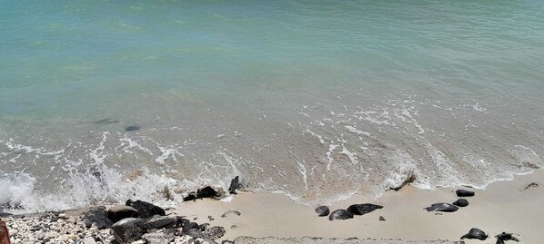 Beach - Spacious 4 Bedroom Villa with covered private pool
(Port Louis)