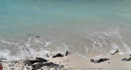 Spacious 4 Bedroom Villa with covered private pool