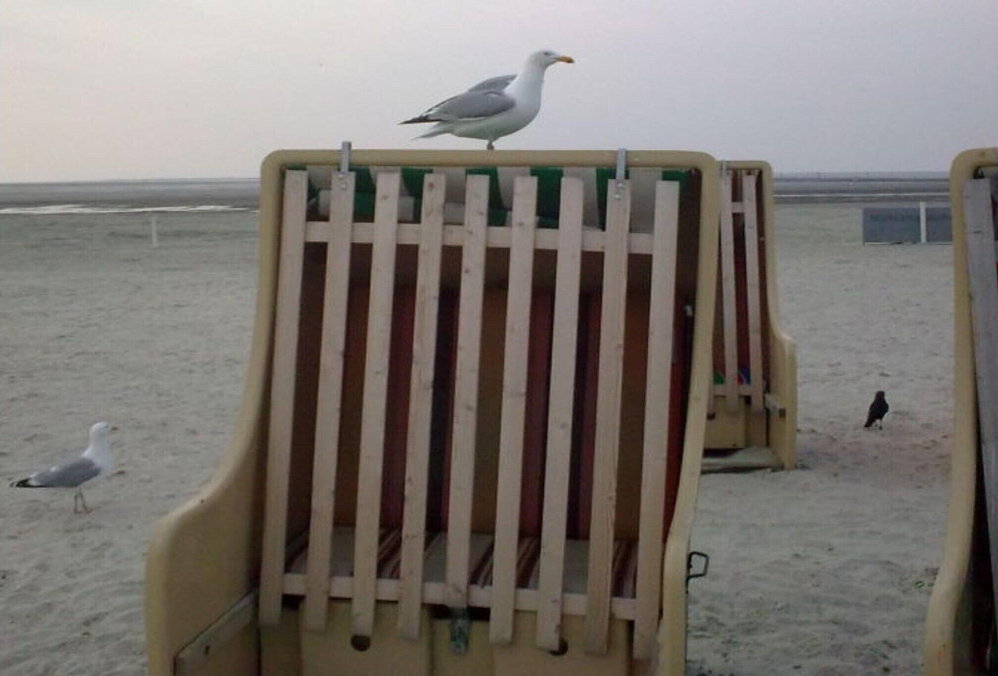 Ubicación cercana a la playa