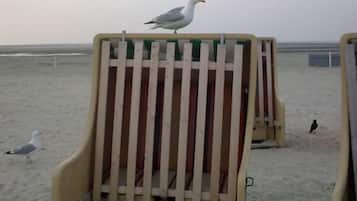 Ubicación cercana a la playa