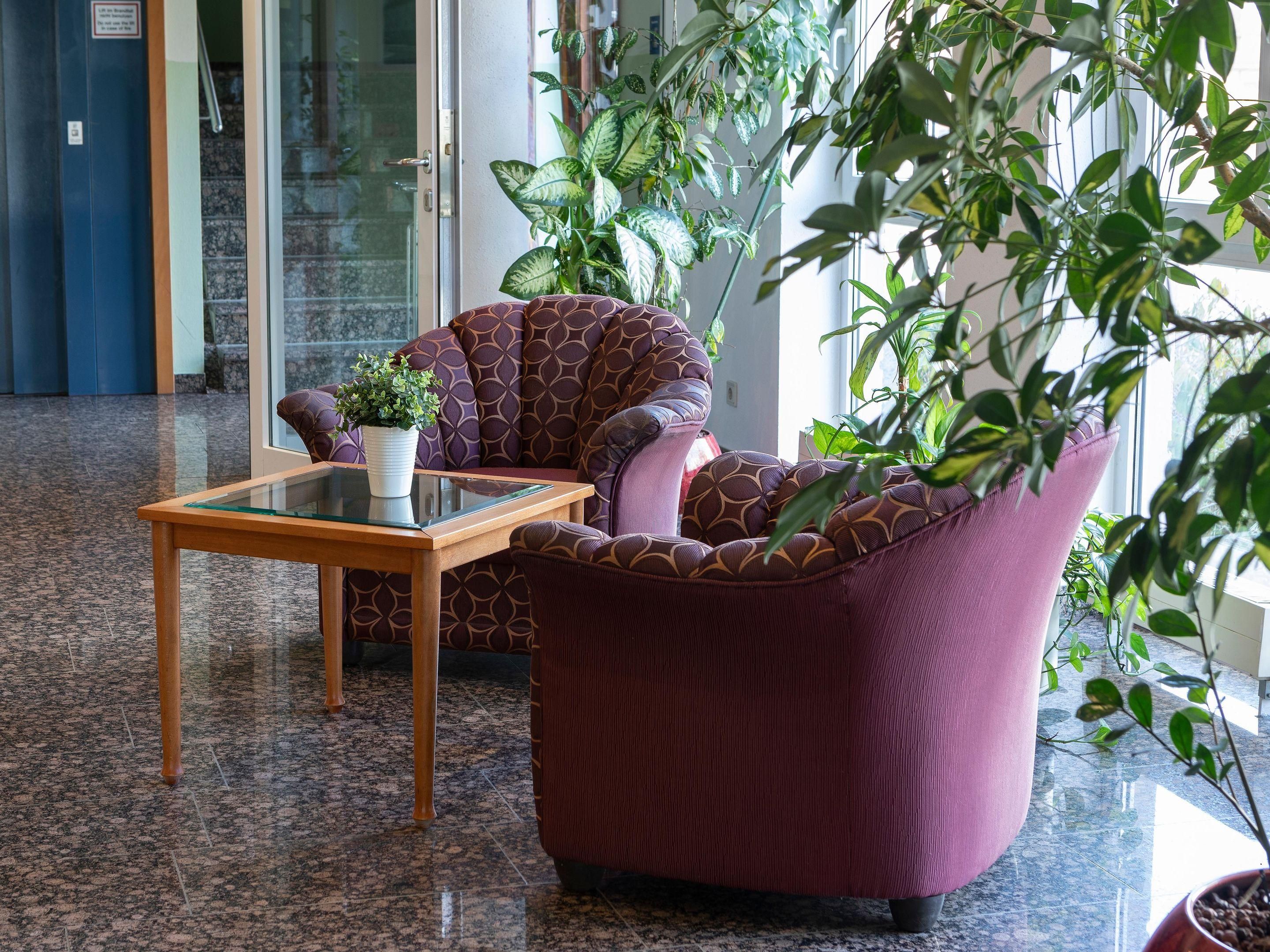 En lobby med en stribet sofa, et bord med glasplade og en potteplante, samt et stort vindue med indendørs planter.