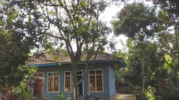 Une petite maison avec un toit en tuiles, entourée d’une végétation luxuriante et bordée d’un chemin de terre.
