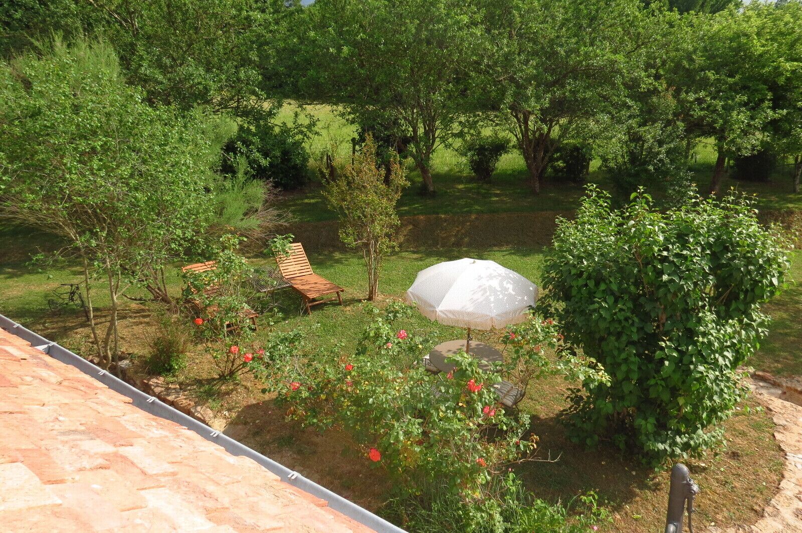 Un jardin avec un banc en bois, un parasol blanc et une variété de plantes.