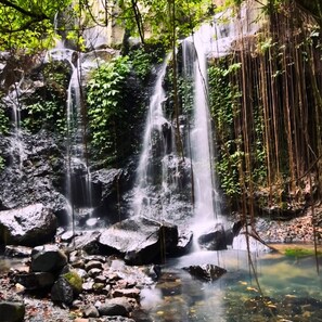 A waterfall surrounded by rocks and greenery. - Bali Eco Stay (Selemadeg)