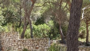 Garden - Eli - for Nature Lovers - A1 (Vis)