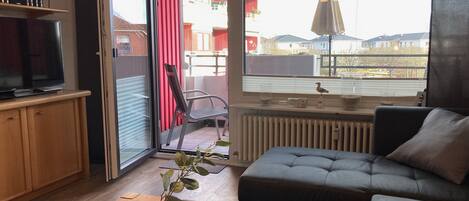 电视、乒乓球、立体声音响