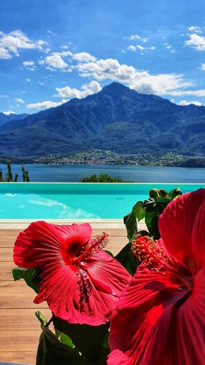 A tropical resort with a pool, red hibiscus flowers, and a mountain view. - Apartment for the whole family. (Vercana)