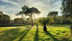 Un parque con césped, árboles y un edificio al fondo.