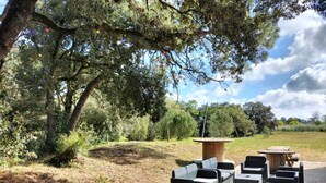 Un espacio exterior con mobiliario de mimbre y una mesa de madera central, rodeado de árboles y un campo cubierto de césped.