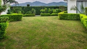 Um gramado bem cuidado, com sebes aparadas e uma vista ampla da paisagem ao redor.