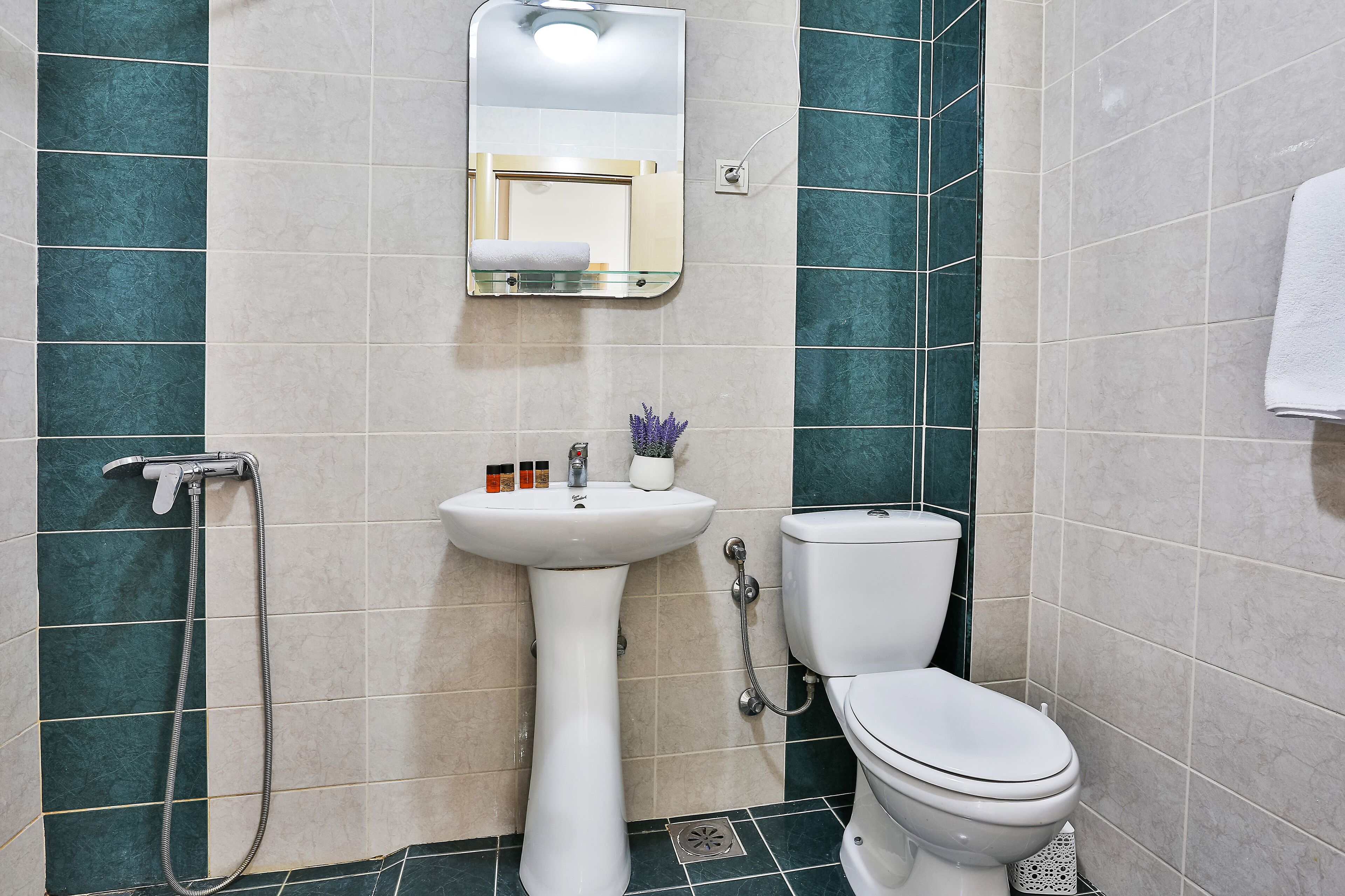 Une salle de bain avec un lavabo sur colonne, des toilettes et une douche.