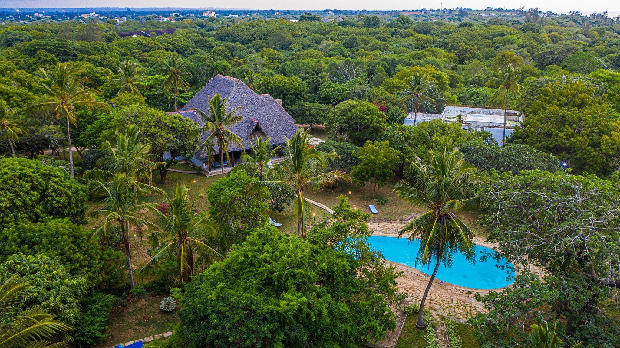 A house surrounded by lush greenery, a swimming pool, and a thatched-roof structure.