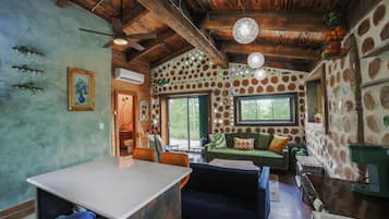 TV, fireplace, books, offices