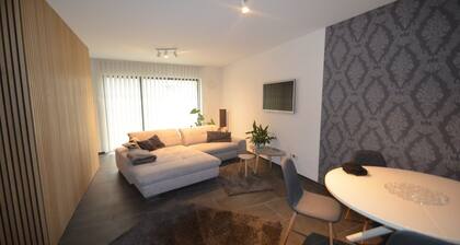 EG Ferienwohnung Merzig Stadt 60 qm PKW Stellplatz im Innenhof
