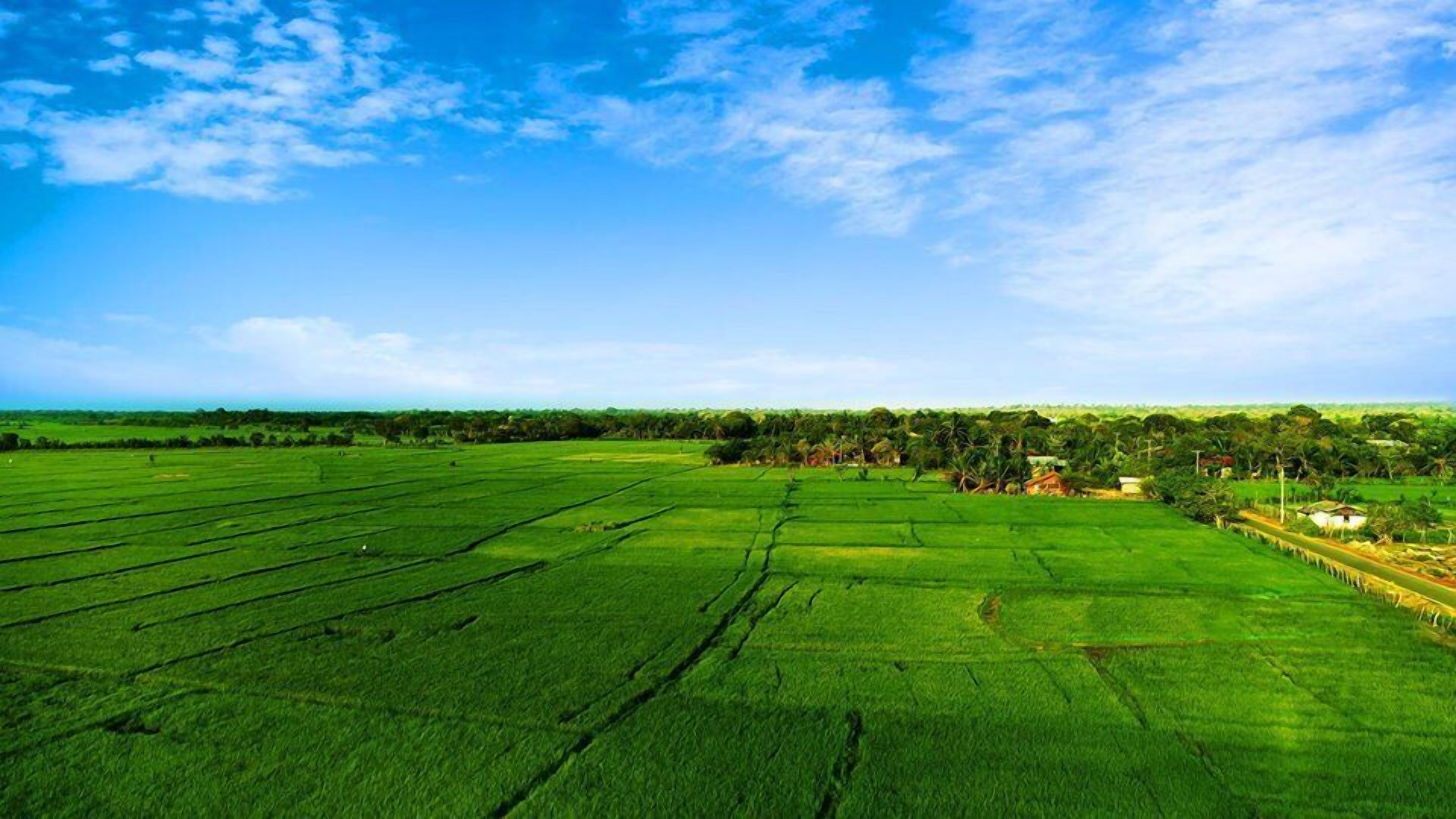 A vast green field with a clear blue sky and scattered clouds.