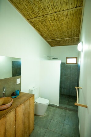 Regadera, toallas, papel de baño 