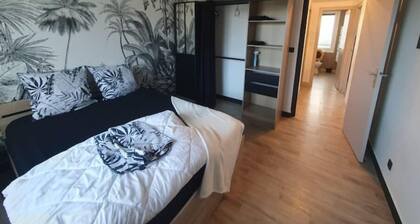 Charmant appartement avec vue mer