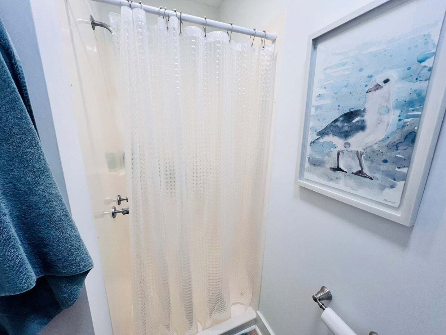 Un baño con cortina de ducha, toallero, cuadro enmarcado de una gaviota y dispensador de papel higiénico.