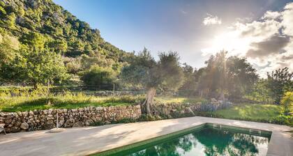 Finca Es Coste by Rentallorca