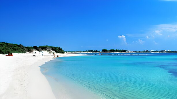 Playa