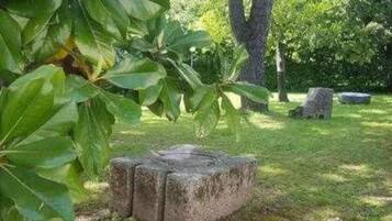 施設の敷地