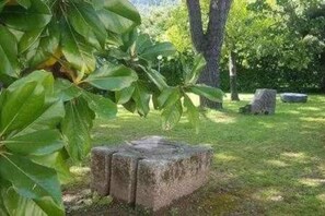 Terrain de l’hébergement 