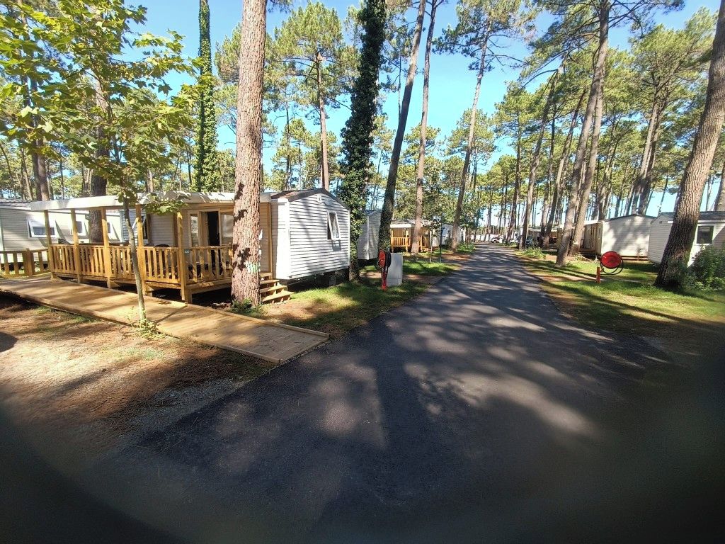 A campground with RVs and mobile homes, a paved road, and trees.