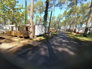 A campground with RVs and mobile homes, a paved road, and trees.