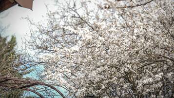 DĂ©tail de lâextĂ©rieur