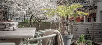 Venez Chez Vous Villa Singa