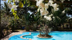 Una piscina con cubierta azul, rodeada de follaje tropical y palmeras.