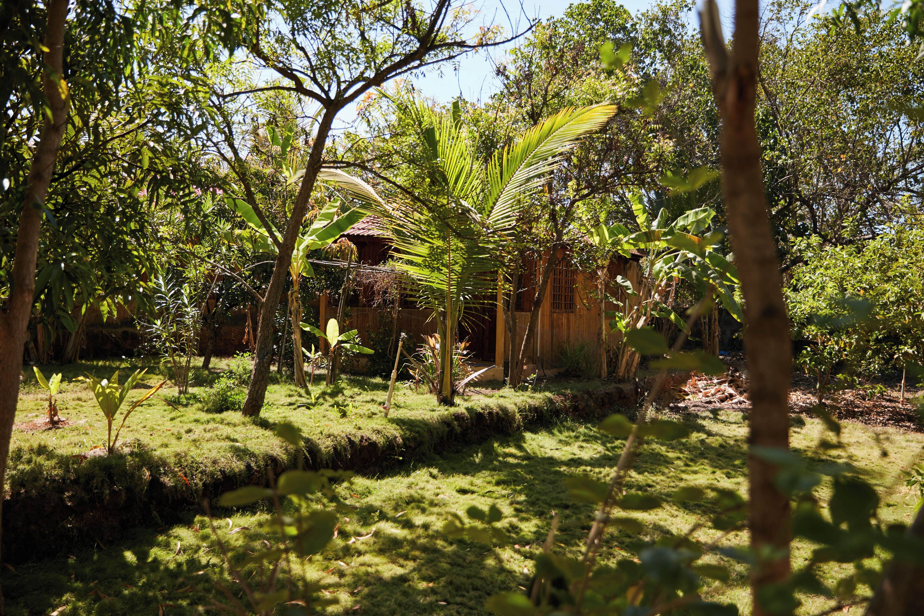 A lush garden with various plants and trees, a wooden structure, and a well-maintained lawn.