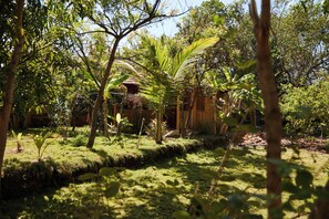 A lush garden with various plants and trees, a wooden structure, and a well-maintained lawn. - Jamboree Creek Yoga (Mandrem)