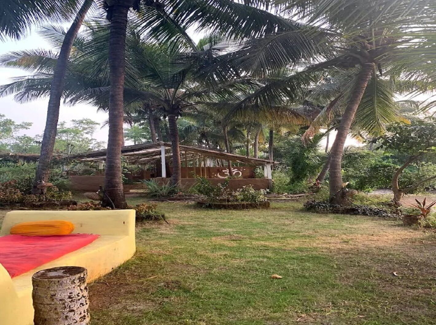 A tropical outdoor area with palm trees, a wooden structure, and a grassy lawn.