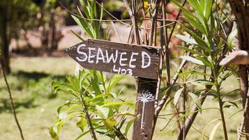 Un cartel de madera con la palabra 'SEAWEED' y el número '403', rodeado de follaje.