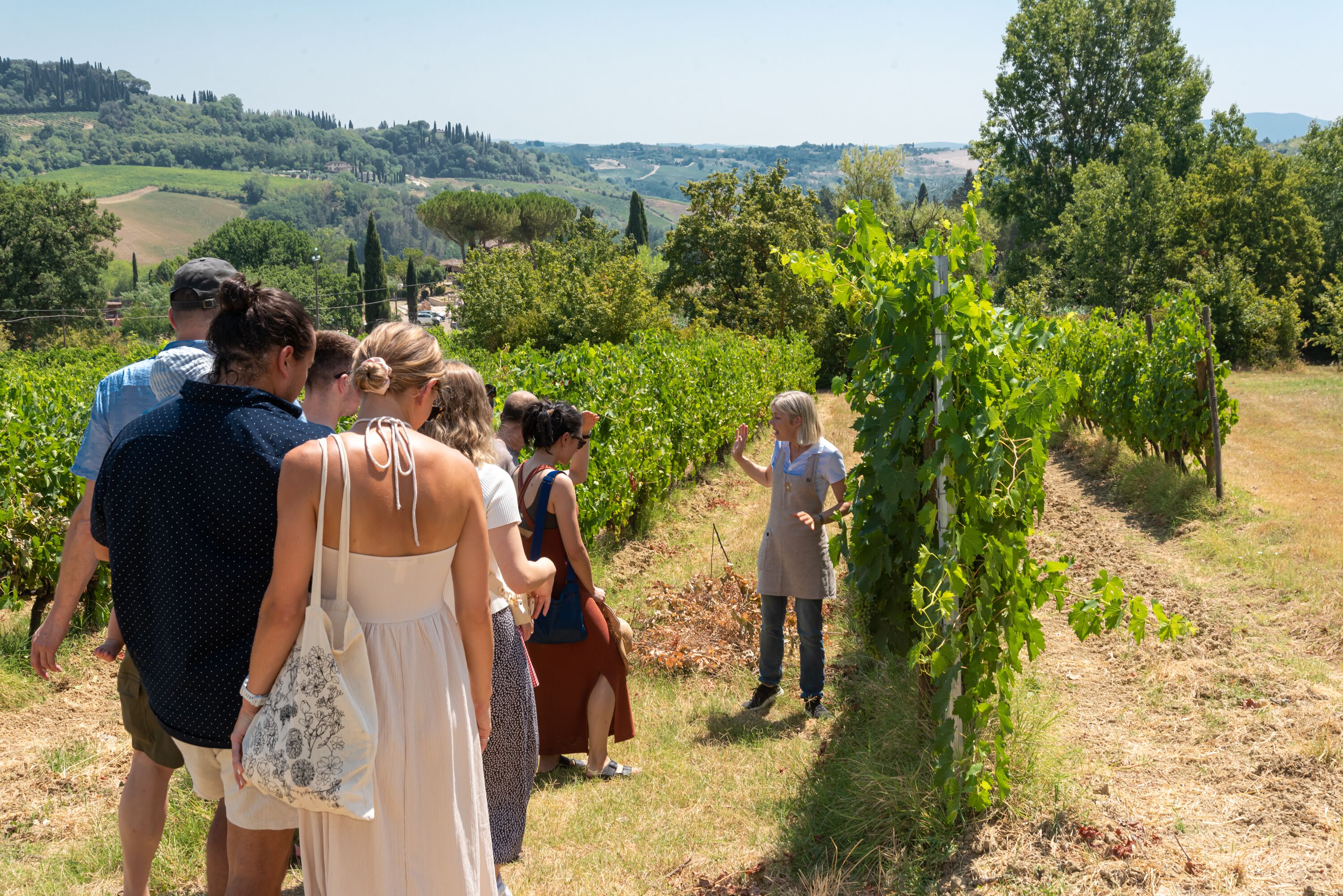 Eine Gruppe von Menschen steht in einem Weinberg zwischen Reihen von Reben.