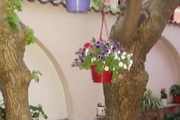 Detalle interior