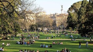 Un parc où l’on voit des gens assis sur l’herbe, des arbres et une statue en arrière-plan.