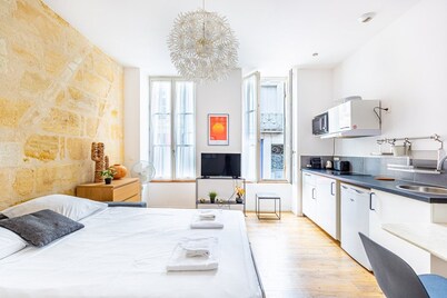 Nice apartment Bordeaux Saint Jean