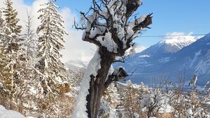 Paisagem coberta de neve com uma árvore em primeiro plano, uma estrutura de madeira e uma cordilheira ao fundo.
