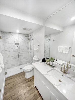 Shower, hair dryer, towels