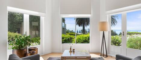 Televisión, chimenea y libros