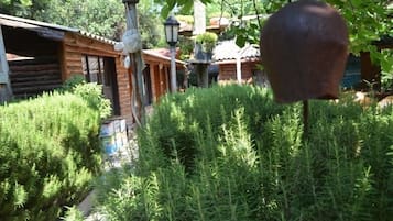 Dış mekân
