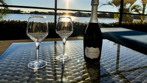 Two empty wine glasses and a bottle of wine on a table with a view of the sea and palm trees.